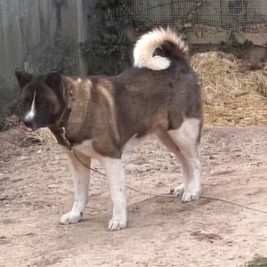 Meet your Posher, Barbara